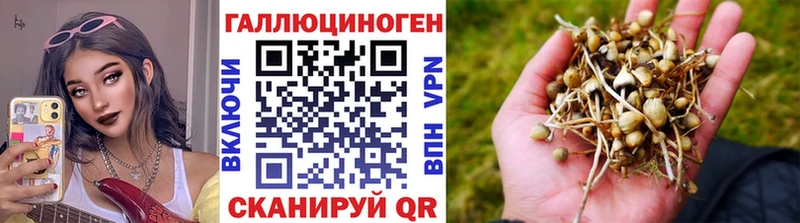 Галлюциногенные грибы ЛСД  Разумное 