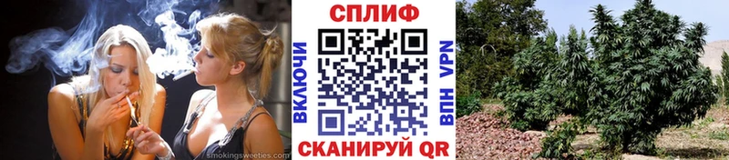 где продают наркотики  Разумное  Бошки Шишки Bruce Banner 